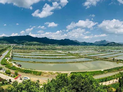 【季节专题】进入4月份，水产养殖管理有哪